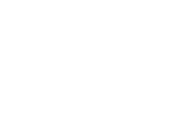 Netprocreative Logo